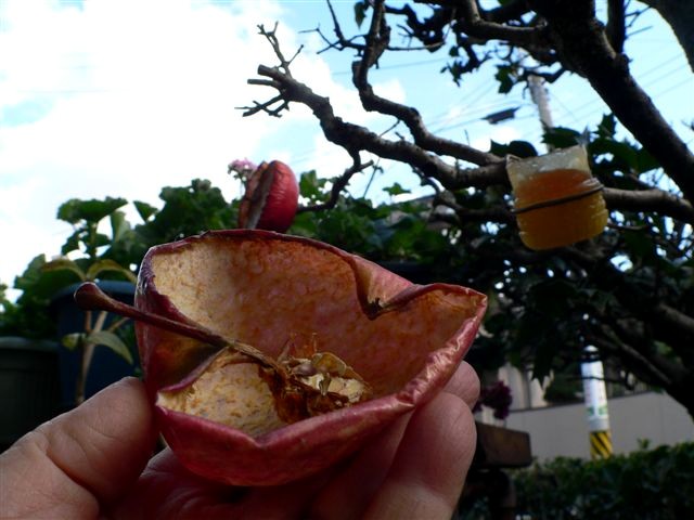 P1010862.JPG 640�~480 67K